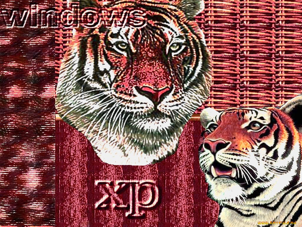 , , , windows, xp